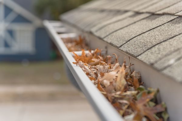 Leaf Barrier Installation in Valrico
